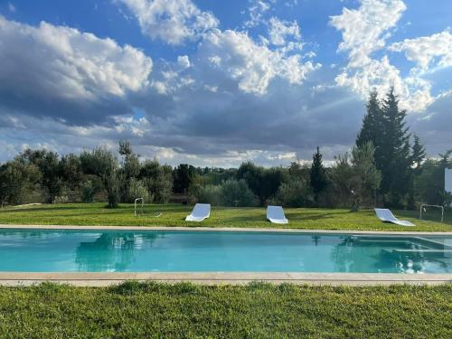 a swimming pool with two chairs in a grass field at Villa Jedidi in Hammamet Sud