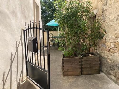 a black gate with a plant in a wooden box at Maison bord de rivière in Roquestéron