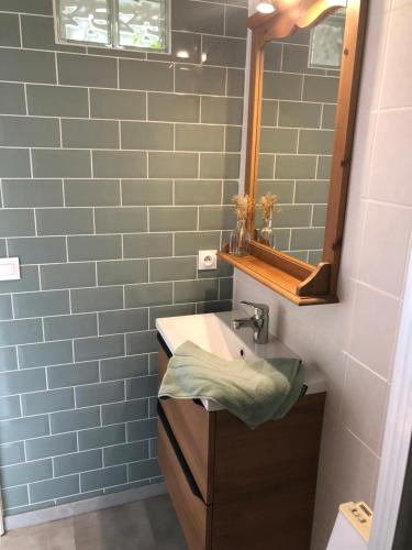 a bathroom with a sink and a mirror at Gîte Le Créau in Dampierre-sous-Bouhy