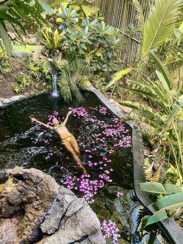Ein Garten an der Unterkunft Somewhere Only We Know Resort