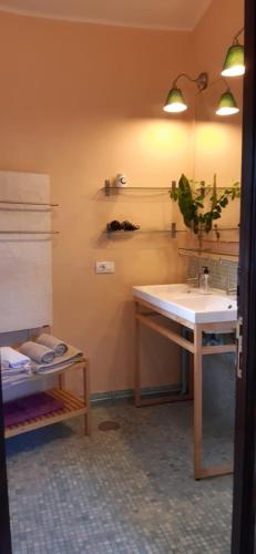 a bathroom with a sink and a table with a plant at Vivelorural casa El Gargujo con piscina in Santa Brígida
