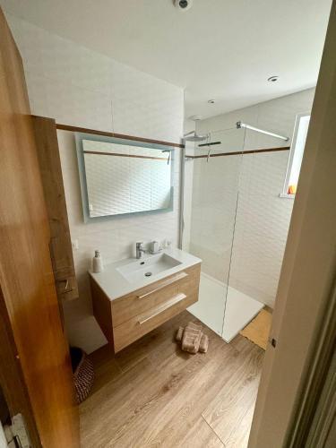 une salle de bain avec un lavabo et une douche dans l'établissement Maison entre Mer, Dunes et Forêt, à Cucq