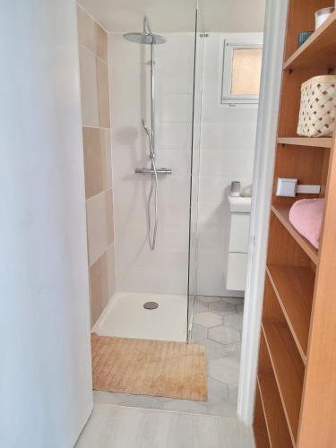 une douche avec une porte vitrée dans une salle de bain dans l'établissement COSY 2 pièces à Sartrouville au Centre à 500m de la gare, à Sartrouville