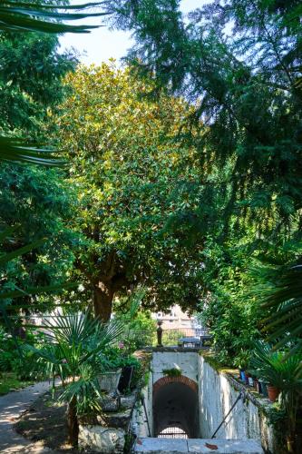 a garden with a tree and a stone wall at Habitación azul en casa con encanto in Irún