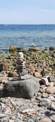 a pile of rocks sitting on a rocky beach at Haus Panorama - Kleines Sternchen in Grömitz