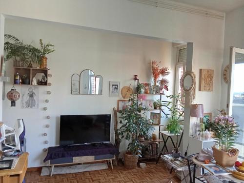 sala de estar con plantas y TV de pantalla plana. en Vue sur mer, en Malo-les-Bains