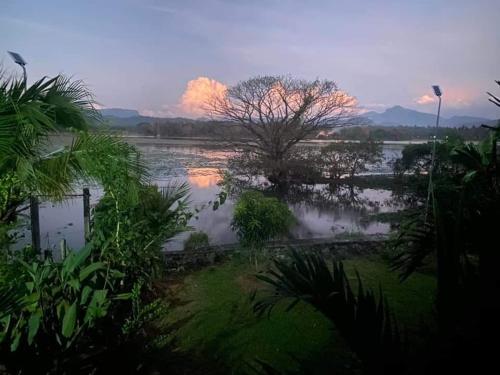 Landskap semula jadi dekat dengan hotel