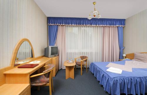Pokój hotelowy z łóżkiem, biurkiem i telewizorem w obiekcie Vistula Hotel w mieście Świecie