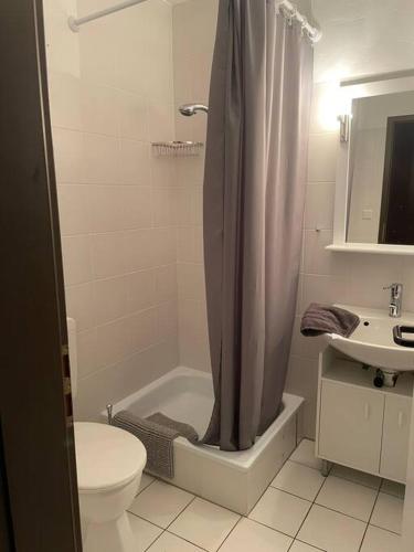 a bathroom with a shower and a toilet and a sink at Ferienwohnung zum Zauberwald in Marsberg