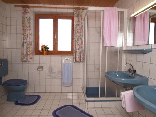 Un baño con un inodoro azul y un lavabo. en Haus Lärchenheim, en Wagrain