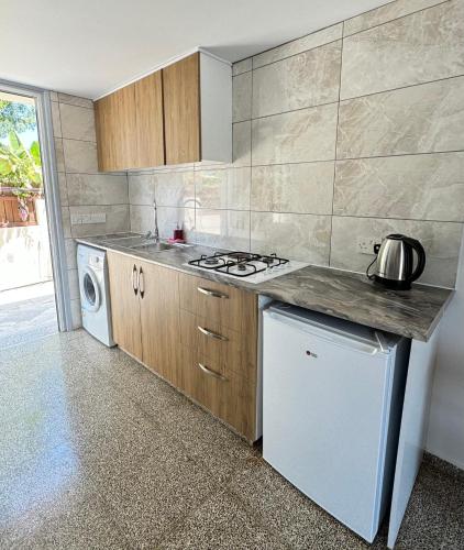a kitchen with a stove and a dishwasher at The Horse Farm Hotel in Kérynia