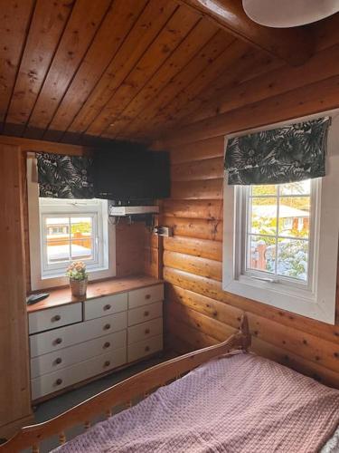 a bedroom with a bed and two windows at Gwel-y-Cwm - Valley View in Trawsfynydd