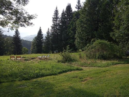 a park with a bench in a field with trees at Forsthaus Pracken in Wolfsberg