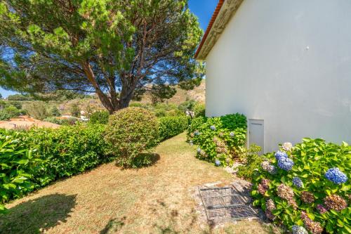 Κήπος έξω από το Casa Cervo e Prado