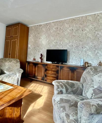 TV a/nebo společenská místnost v ubytování Apartmani Stela Sokobanja