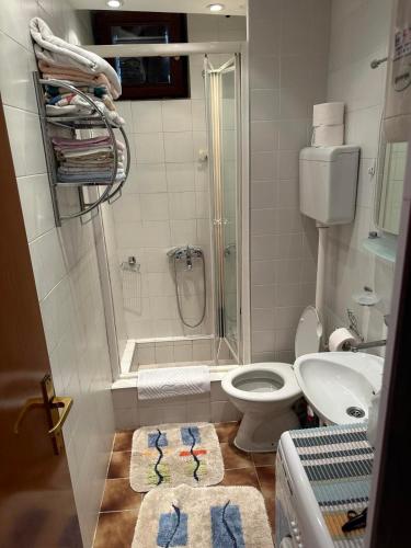 Un baño con ducha, inodoro y lavabo. en Sea View Budva, en Komoševina