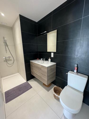 une salle de bain avec toilettes, lavabo et douche dans l'établissement La Lumière du Coeur, à Saint-Philbert-de-Bouaine