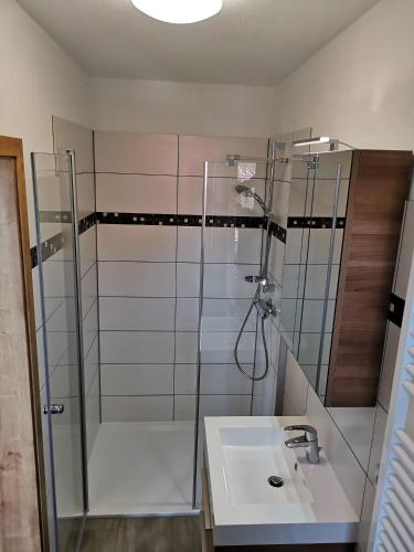 a bathroom with a shower and a sink at Apartment in Papstdorf "Zwillingsstiege" in Kurort Gohrisch