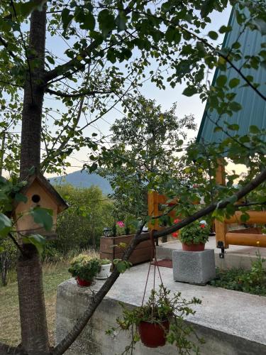 a tree with a bird house and potted plants at Etno house Bajka in Žabljak