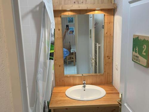 une salle de bain avec un lavabo et un miroir dans l'établissement Appartement Les Orres 6 pers avec piscine et animaux admis - FR-1-322-452, aux Orres