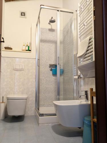 a bathroom with a shower and a toilet and a sink at La Bugneta in Pietrasanta