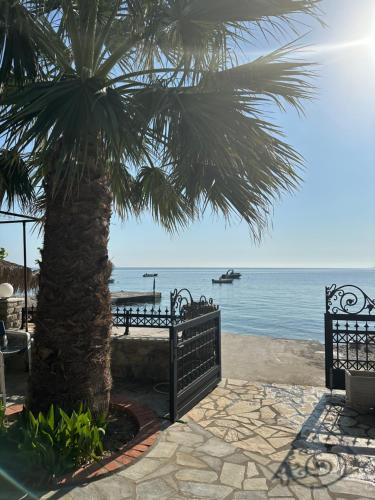 a palm tree and benches next to the ocean at Sea You - Apartments in Avlákia