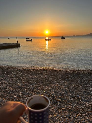 a person holding a cup of coffee on a beach at Sea You - Apartments in Avlákia