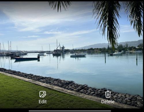 a marina with boats in the water with a palm tree at Beryls at Seawind on the Bay , Montego Bay , Jamaica in Montego Bay