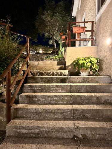 a set of concrete stairs with a potted plant at Agriturismo Nonno Ninuccio in Gioi