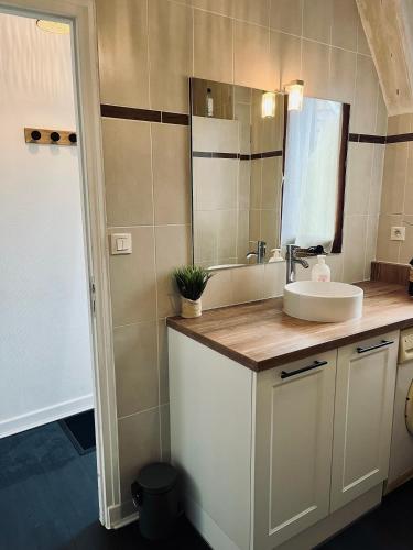 une salle de bain avec un lavabo et un miroir dans l'établissement Bel appartement en plein cœur du vieux Troyes., à Troyes