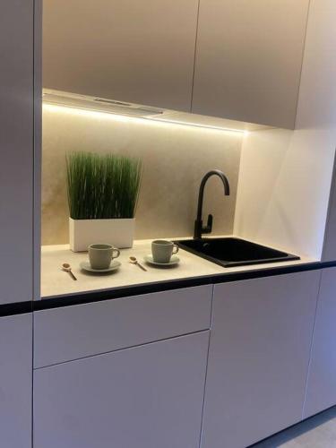 a kitchen with two cups and a sink and a plant at Piscina Chic con gran Terraza in Murcia