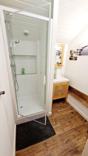 une salle de bain avec une douche à l'italienne et un lavabo dans l'établissement Maison, 4 à 6 pers, clim, parking privé, 2 chambres, à Agen