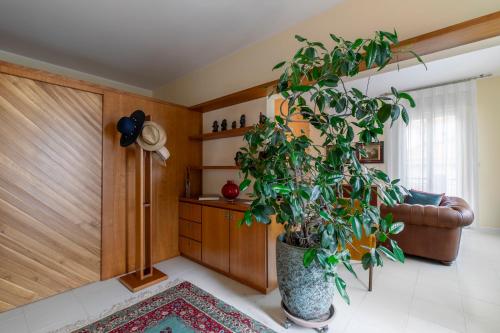 a living room with a plant in a large vase at Ca' Giorgio - Dolo in Dolo