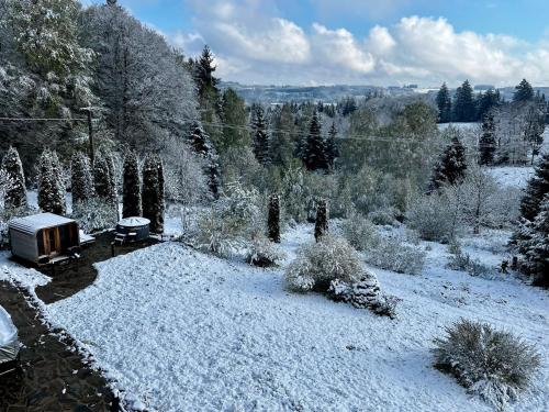a garden covered in snow with trees and bushes at Villa d'exception LA BELLE DES VOSGES 4 étoiles, bain nordique, sauna, billard etc in Le Tholy