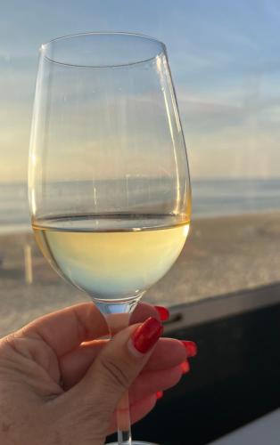 a person holding a glass of white wine at Huisje Aangenaam in Dirkshorn