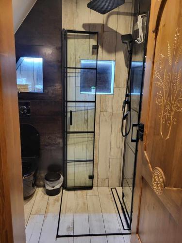 a bathroom with a shower with a glass door at Apartamenty Gubalowski Las in Nowe Bystre