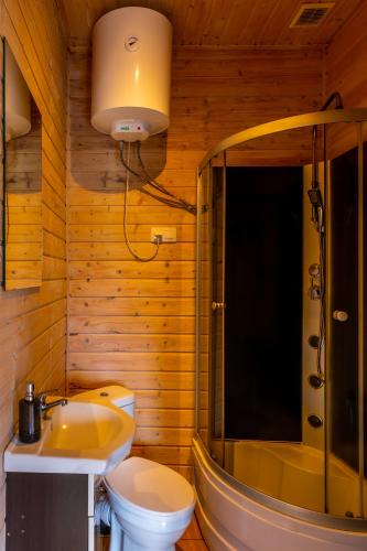 a bathroom with a toilet and a sink and a shower at Karkonoskie Sny - Domki z widokiem na Karkonosze in Wojcieszyce