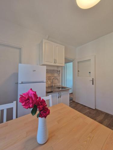 Küche/Küchenzeile in der Unterkunft Apartman Mamut