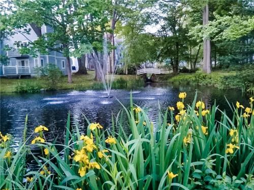 a pond with a fountain in a park with yellow flowers at Villa Signor in Norwich