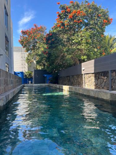 Coastal View Apartments