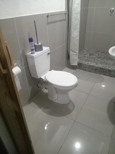 a white bathroom with a toilet and a shower at The Irenic Massage Spa and bnb in Hebron