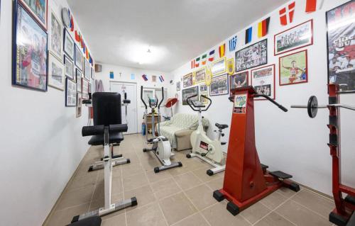 Fitness centrum a/nebo fitness zařízení v ubytování House Runjic w pool large garden and playground