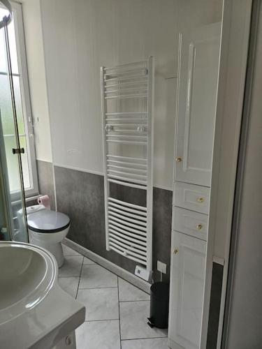 une salle de bain blanche avec des toilettes et un lavabo dans l'établissement Charmant appartement centre ville proche thermes, à La Bourboule