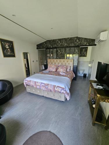 a bedroom with a large bed and a television at hébergement privée Jaccuzzi en supplément in Saint-Clair-du-Rhône