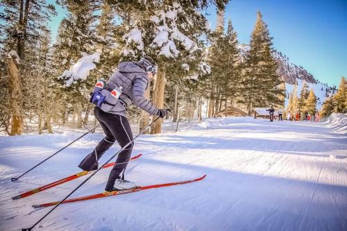 a person is cross country skiing in the snow at The Bridges 102 in Mammoth Lakes