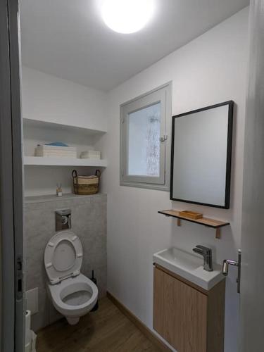une petite salle de bain avec toilettes et lavabo dans l'établissement Appartement proche Parc Expo Nancy, à Jarville-la-Malgrange