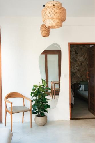 a room with a chair and a plant and a mirror at Saona Bangalôs Taíba in Taíba