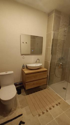 a bathroom with a toilet and a sink and a shower at Glamping tent in de rust, met zwembad, badkamer en keuken in Lacapelle-Pinet