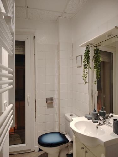 une salle de bain avec toilettes et lavabo dans l'établissement Studio N6 Appartement Hôtel Combes, à Amélie-les-Bains-Palalda