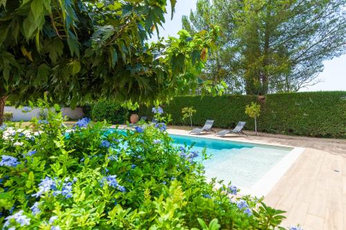 - une piscine avec 2 chaises et des fleurs bleues dans l'établissement Appart Cocon avec piscine et jardin, à Marseille